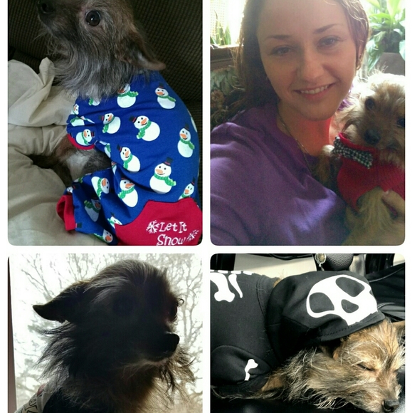 Meet your Posher, Lisa - Picture 8 of 11